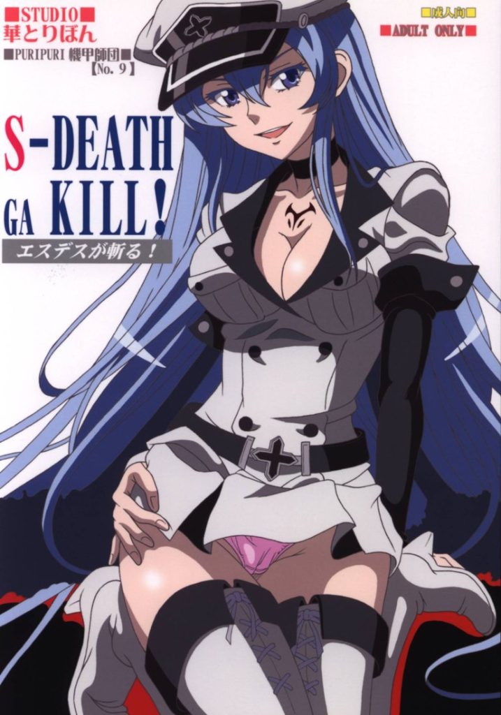 Capa do doujinshi S-DEATH GA KILL! エスデスが斬る! (Esdeath)